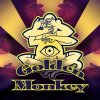 Victory Golden Monkey