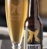 Bright Brewery Blowhard