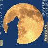 Frog Island Moon Squaller