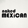 Boston Breweries Naked Mexican