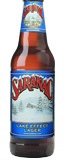 Saranac Lake Effect Lager