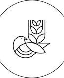 Good Things Brewing Co.