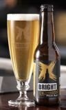Bright Brewery Blowhard