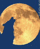 Frog Island Moon Squaller