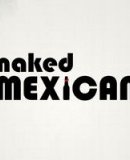 Boston Breweries Naked Mexican