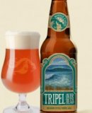 Mother Earth Tripel Overhead