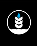 Pure Project Brewing