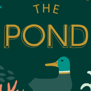 The Pond Brighton