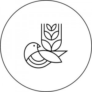 Good Things Brewing Co.