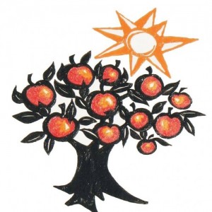 Severn Cider
