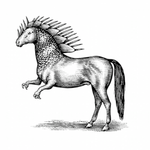 Ponysaurus Brewing Company