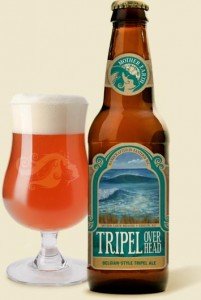 Mother Earth Tripel Overhead