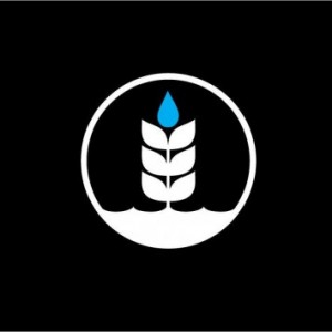 Pure Project Brewing